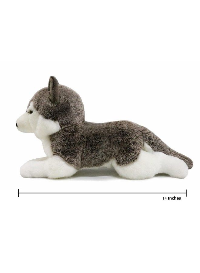 Lifelike Siberian Wolf Stuffed Animal Plush Toy 14 Inches Length (Lying)