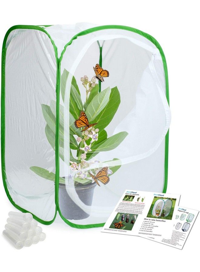 Insect And Butterfly Habitat Cage Terrarium Pop Up 24 Inches Tall With 10Pcs 10Ml Floral Tubes