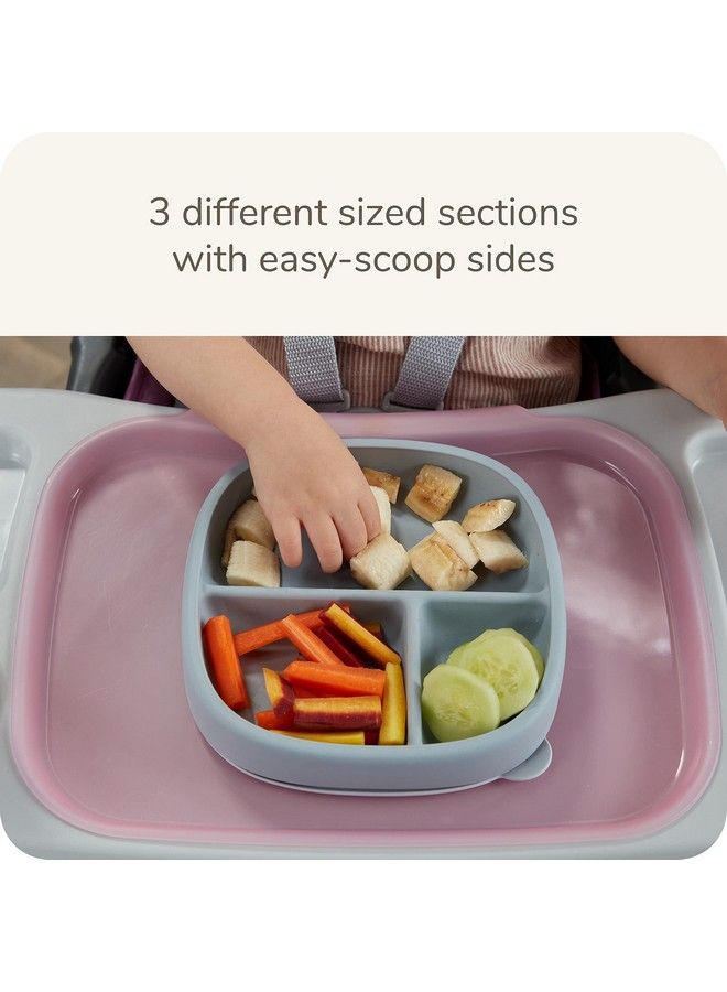 For Nature™ Suction Plate And Lid