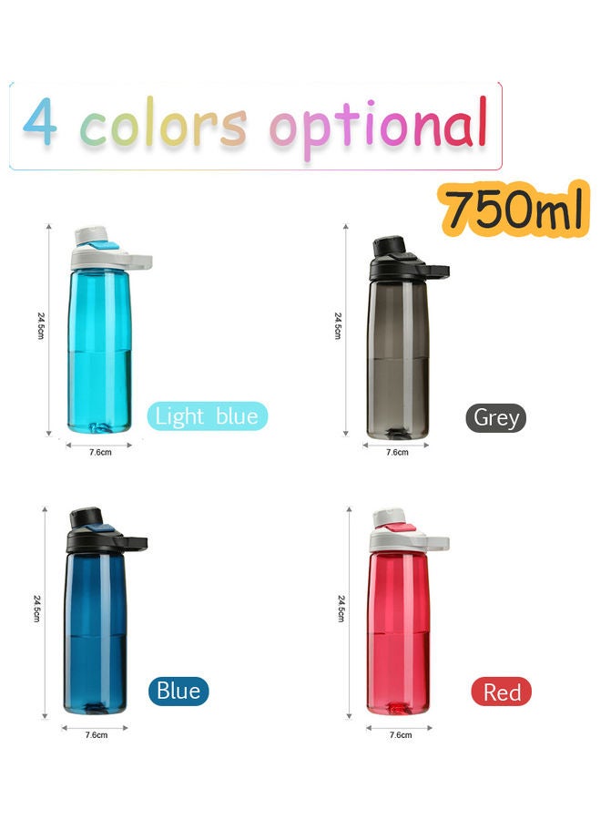 Sports Water Bottle With Magnetic Cap Grey 24.5x7.6x7.6cm
