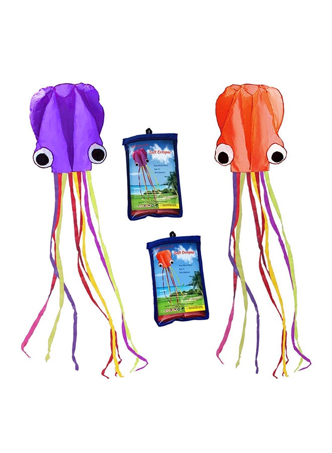 Pack Of 2 Flyer Kite