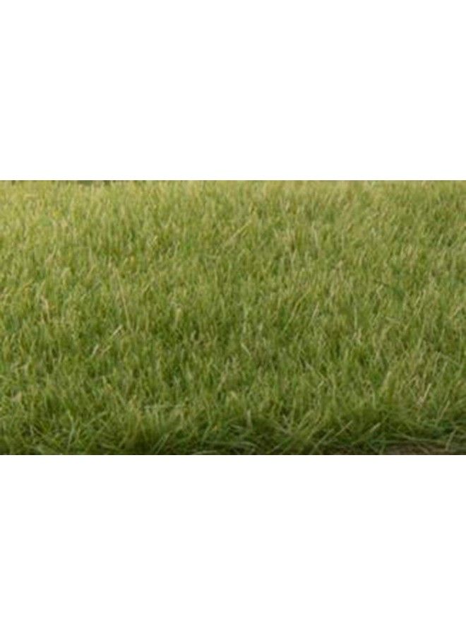 Static Grass 4Mmmedium Green Fs618