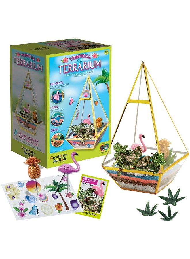 Tropical Terrarium Craft Kit Kids Terrarium Kit For Ages 7+ Steam Activity