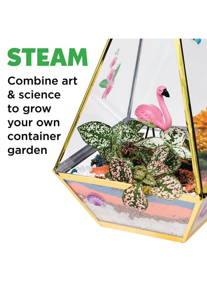 Tropical Terrarium Craft Kit Kids Terrarium Kit For Ages 7+ Steam Activity