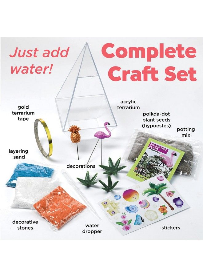 Tropical Terrarium Craft Kit Kids Terrarium Kit For Ages 7+ Steam Activity