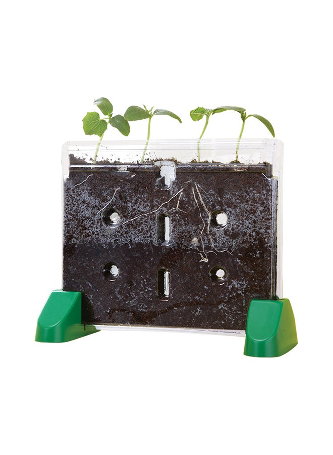 Sprout And Grow Window 4 x 10.5 x 8.5inch