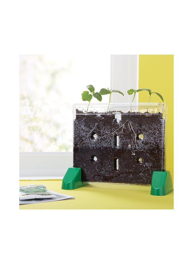 Sprout And Grow Window 4 x 10.5 x 8.5inch