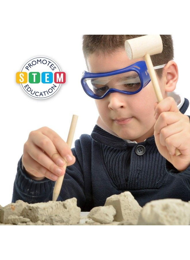 Gemstone Dig Kit Excavate 20 Real Gemstones Including Crystal Amethyst Topaz Stem Educational Toy Science Kit For Kids Great Gift For Boys Girls Adults With Storage Pouch Mining Tools
