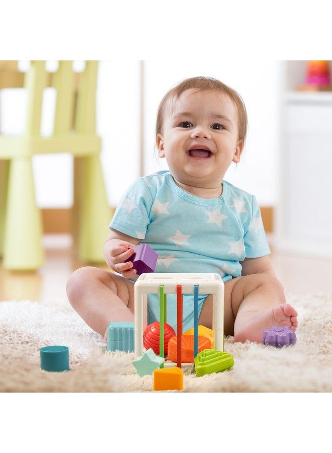Sensory Toys Shape Sorter Baby Blocks Colorful Textured Balls Sorting Games Montessori Learning Activity For Fine Motor Skills Early Development Infants Toddlers Kids Boys Girls 18+ Months Old