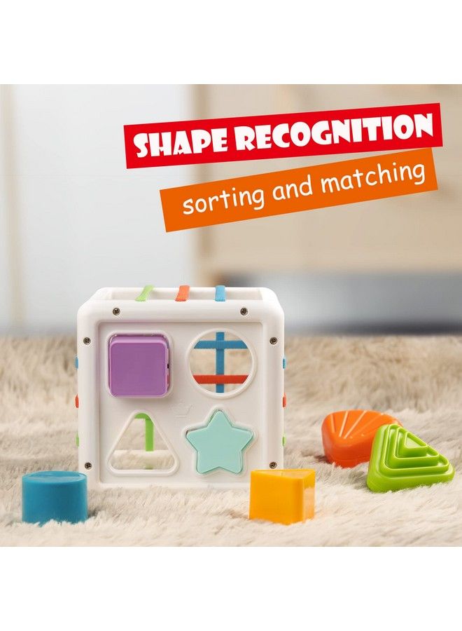 Sensory Toys Shape Sorter Baby Blocks Colorful Textured Balls Sorting Games Montessori Learning Activity For Fine Motor Skills Early Development Infants Toddlers Kids Boys Girls 18+ Months Old