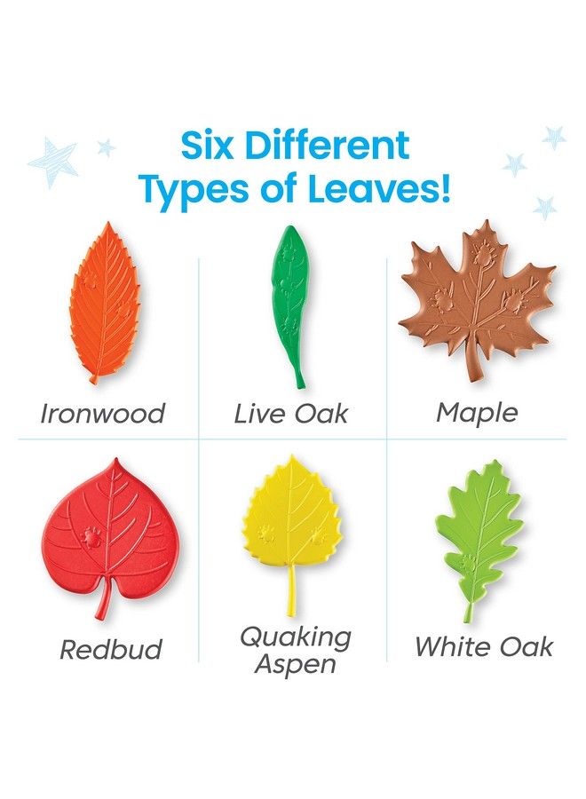 Sensory Leaves Math Activity Set Pattern Play Shape Puzzle Pattern Blocks Cards Math Counters Sorting Toy Shapes For Toddlers Counting Toy Kindergarten Learning Activities