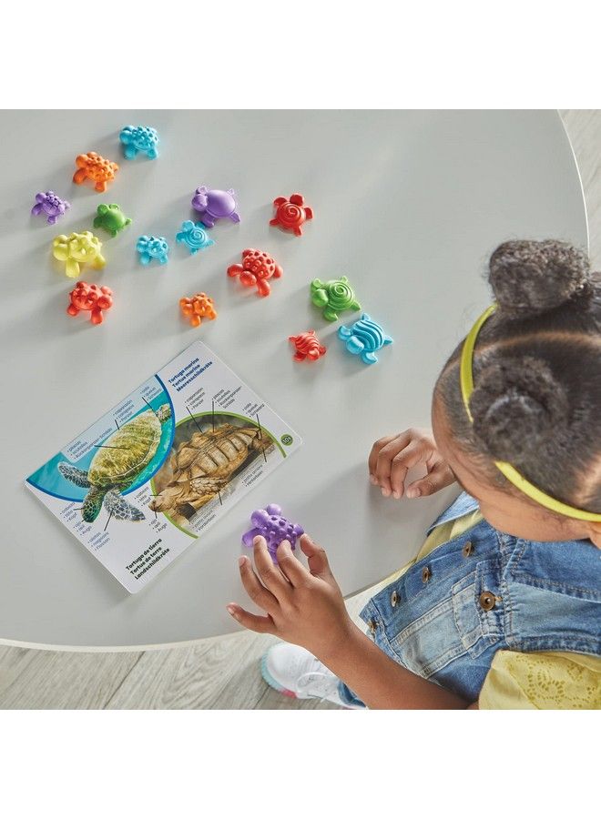 Tactile Turtles Math Activity Set Toddler Numbers And Counting Math Counters For Kids Color Sorting Toys Sensory Turtle Game Preschool Learning Activities Montessori Math Materials