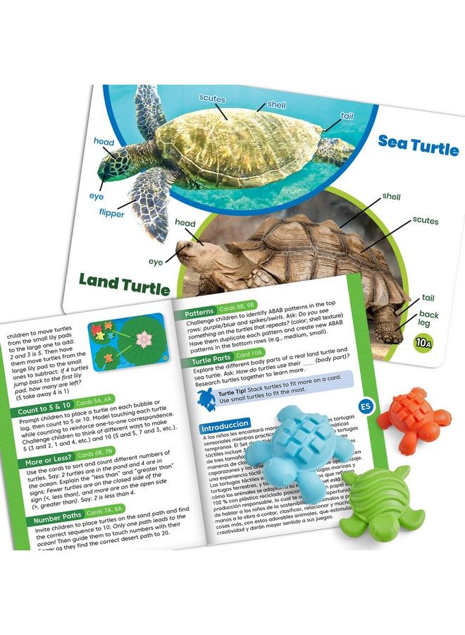 Tactile Turtles Math Activity Set Toddler Numbers And Counting Math Counters For Kids Color Sorting Toys Sensory Turtle Game Preschool Learning Activities Montessori Math Materials