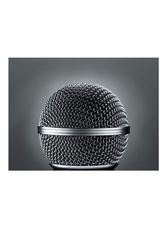 Classic Vocal Microphone Cardioid Pickup Pattern Studio Ready Pop Filter For Live Singing & Performance 565SD-LC Silver