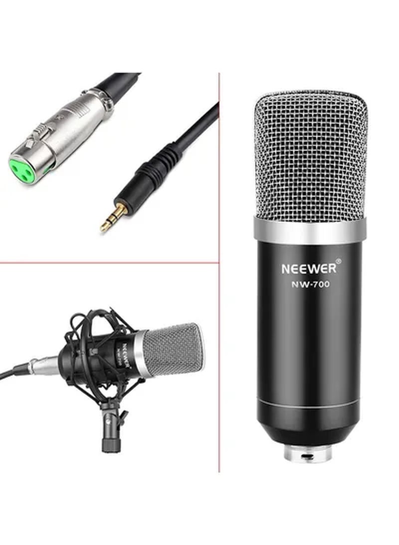 Condenser Microphone Kit  Silver/Black