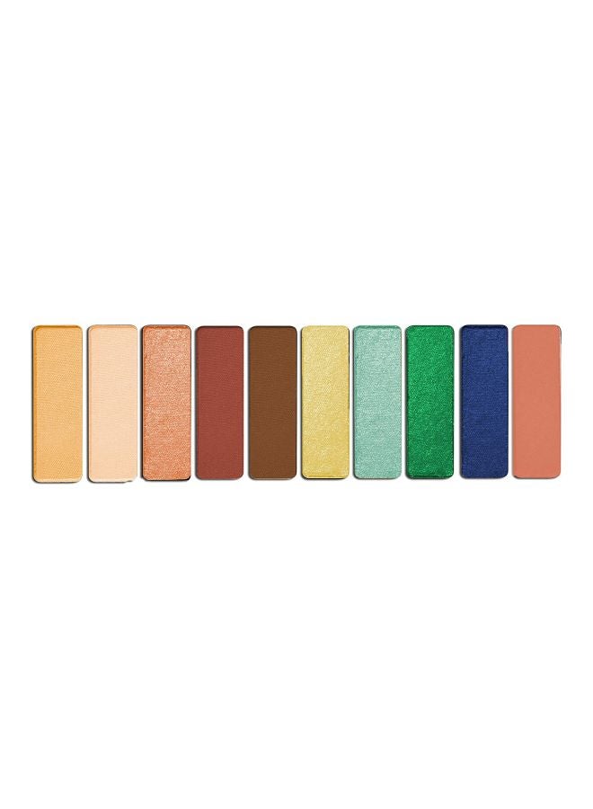 Colour Icon 10 Pan Palette Stop Playing Safe