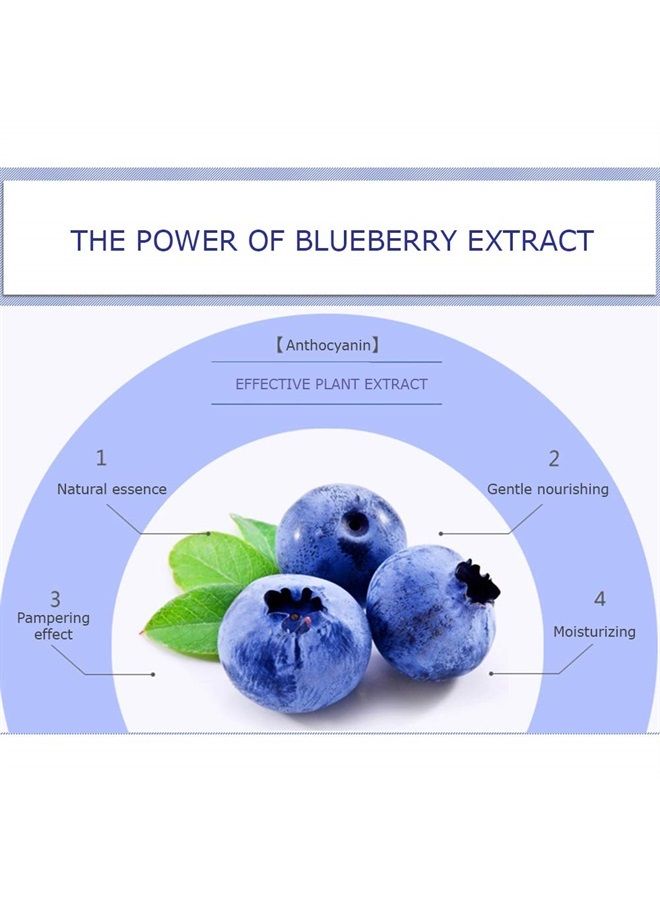 Blueberry Wonder Skin Care Gift Box Cleanser Lotion Toner Essence Emulsion Serum BB Cream 6PCS SET 100g +120ml +120ml + 50g +40g +10x5ml