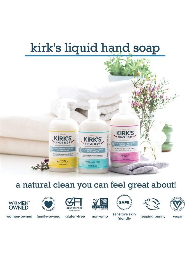 Odor-Neutralizing Clean Hand Soap Castile Liquid Soap Pump Bottle | Moisturizing & Hydrating Kitchen Hand Wash | 12 Fl Oz. Bottles | Variety 4-Pack