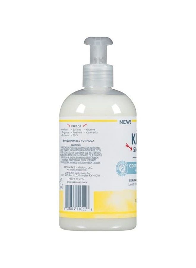 Odor-Neutralizing Clean Hand Soap Castile Liquid Soap Pump Bottle | Moisturizing & Hydrating Kitchen Hand Wash | Lemon & Eucalyptus Scent | 12 Fl Oz. Bottle | 4-Pack