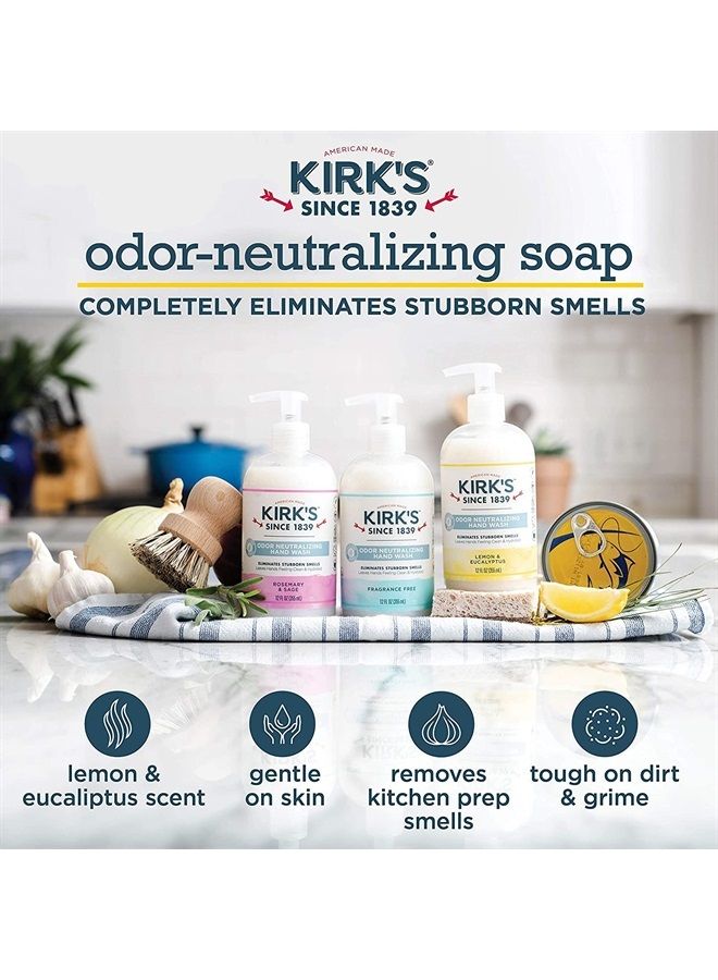 Odor-Neutralizing Clean Hand Soap Castile Liquid Soap Pump Bottle | Moisturizing & Hydrating Kitchen Hand Wash | Lemon & Eucalyptus Scent | 12 Fl Oz. Bottle | 4-Pack