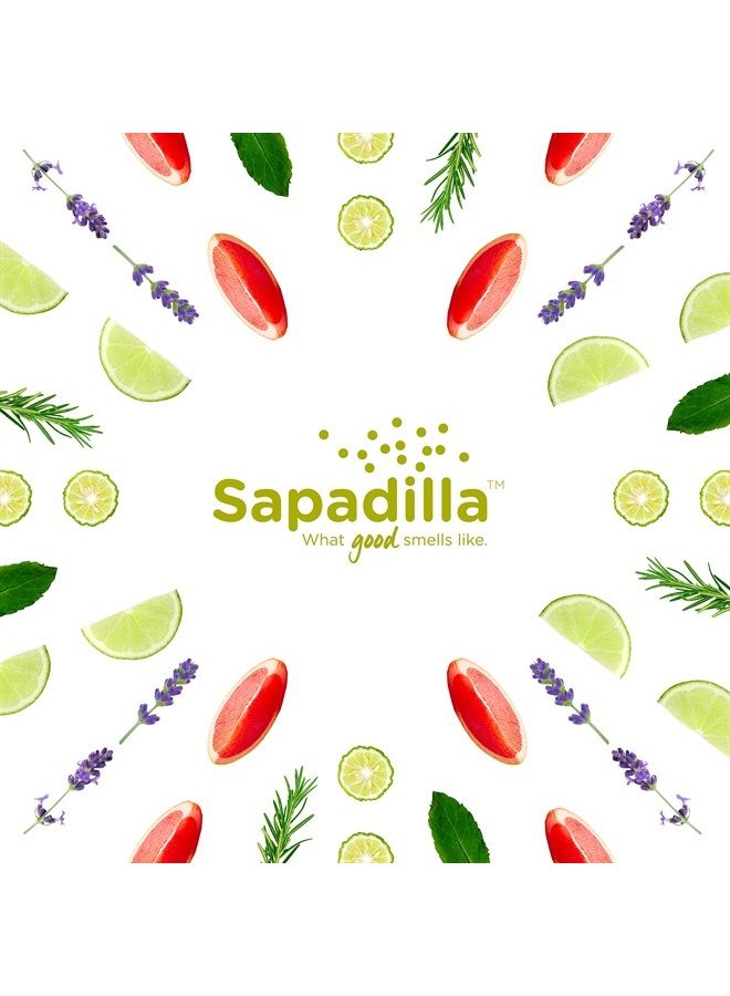 Grapefruit + Bergamot Biodegradable Liquid Hand Soap Pump, 12 Ounce, (Pack of 1)