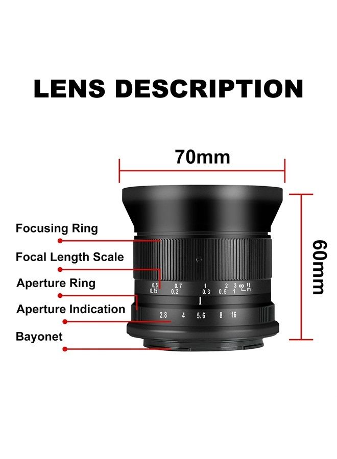 7 Artisans 12mm F2.8 Mark Ⅱ Ultra Wide Angle APS-C Manual Focus Prime Lens Compatible for Canon RF Mount Mirrorless Cameras EOS R/EOS R3/EOS RP/EOS R5/EOS R6