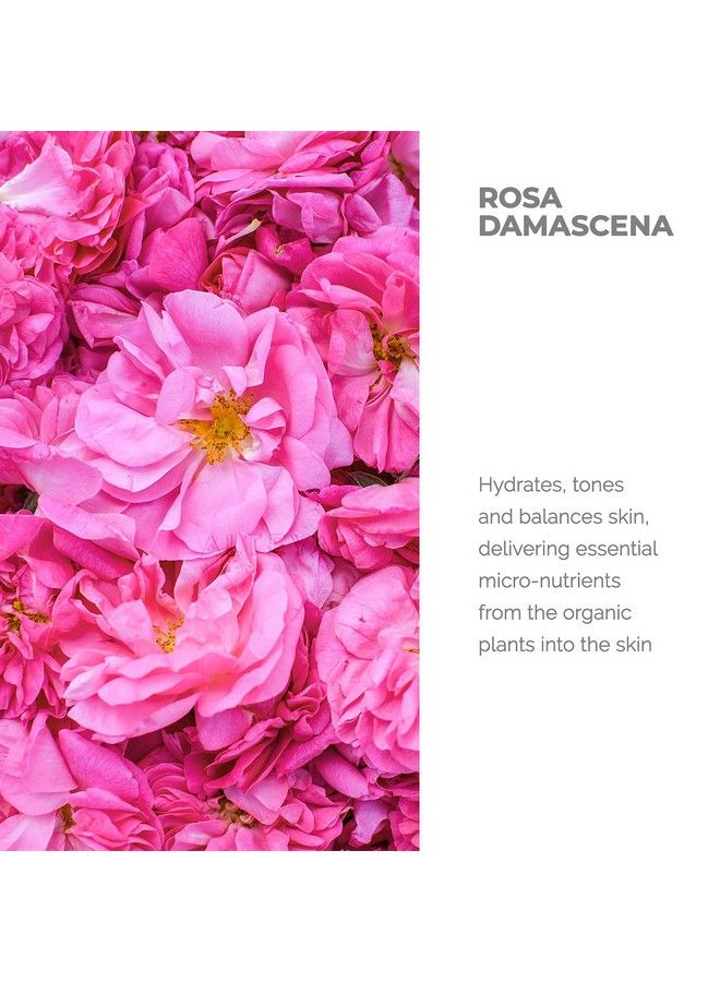 Rose Water Usda Certified Organic Facial Toner 8 Fl Oz 240Ml Pure Bulgarian Rosa Damascena Flower Water Award Winning Moisturizer Amber Glass Spray Bottle