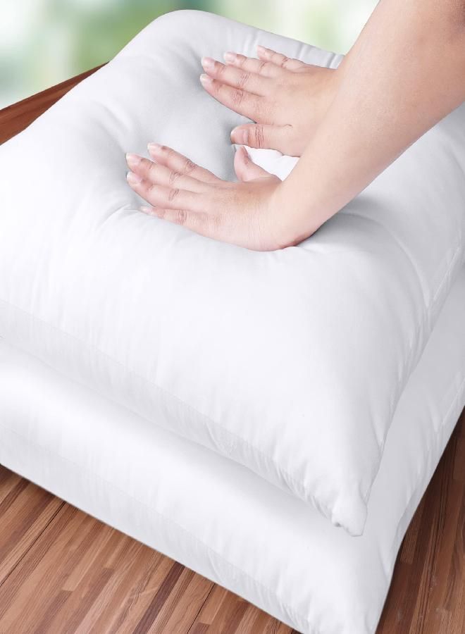 Utopia Bedding Throw Pillows Insert (Pack of 2, White) - 16 x 16 Inches Bed and Couch Pillows - Indoor Decorative Pillows