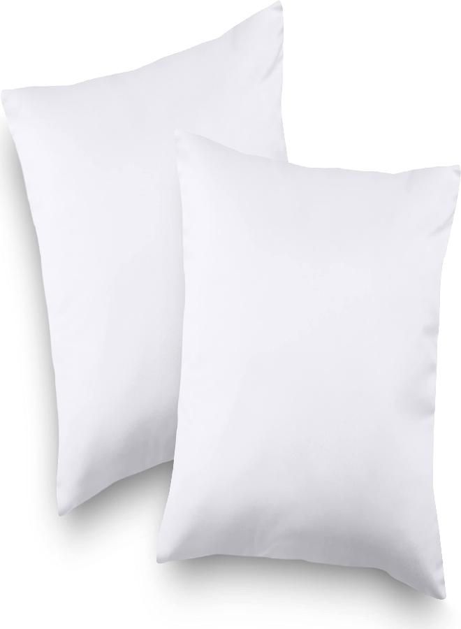 Utopia Bedding Throw Pillows Insert (Pack of 2, White) - 16 x 16 Inches Bed and Couch Pillows - Indoor Decorative Pillows