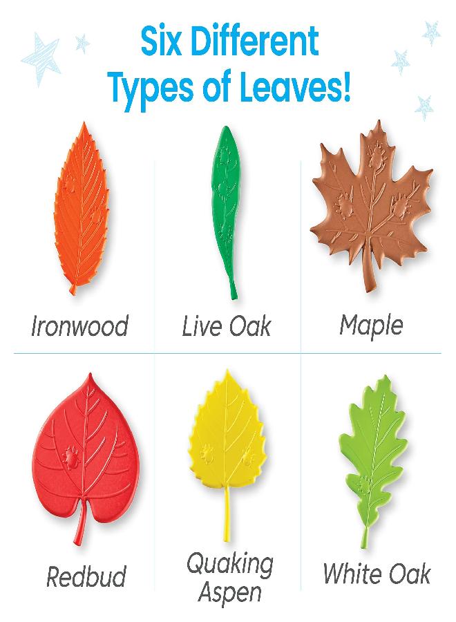hand2mind Sensory Leaves Math Activity Set, Pattern Play, Shape Puzzle, Pattern Blocks Cards, Math Counters, Sorting Toy, Shapes for Toddlers, Counting Toy, Kindergarten Learning Activities