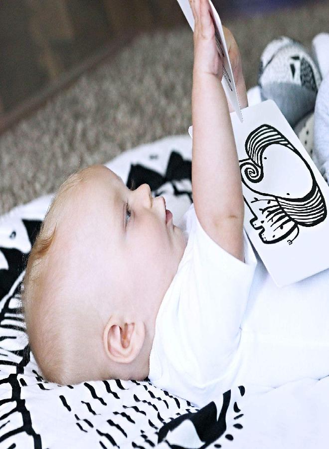 Wee Gallery Black and White Art Flash Cards for Babies, High Contrast Educational Animal Picture Cards, for Visual Stimulation, Brain and Memory Development in Infants and Toddlers Safari Animals