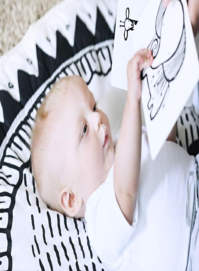 Wee Gallery Black and White Art Flash Cards for Babies, High Contrast Educational Animal Picture Cards, for Visual Stimulation, Brain and Memory Development in Infants and Toddlers Safari Animals