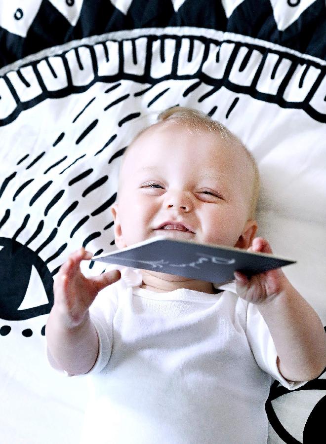 Wee Gallery Black and White Art Flash Cards for Babies, High Contrast Educational Animal Picture Cards, Baby Visual Stimulation, Brain and Memory Development in Infants and Toddlers - Ocean Animals