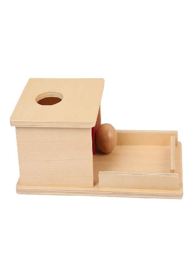 LEADER JOY Montessori Materials Object Permanence Box with Tray and Ball Object 6-12 Month Infant 1 2 3 Years Babies Toddlers Learning Material