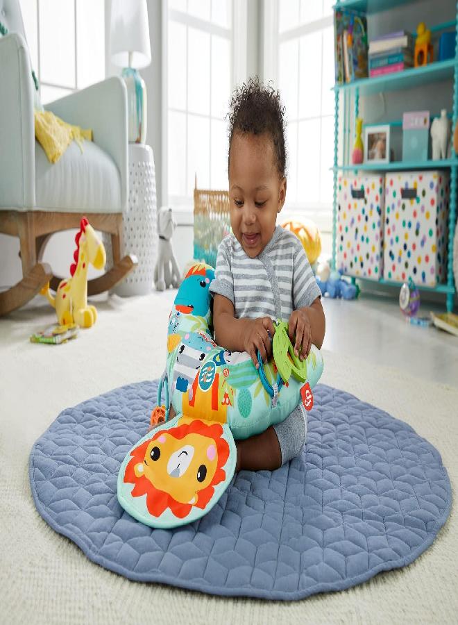 Fisher-Price 0887961951660 GWY91-Music & Vibe Lion Tummy Wedge, Mixed