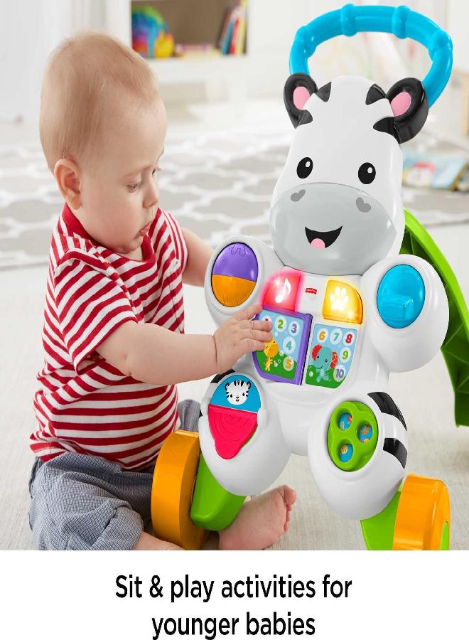 Fisher-Price Baby Learning Toy Learn With Me Zebra Walker With Music Lights And Fine Motor Activities For Ages 6+ Months