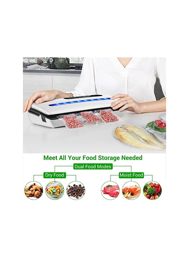 Sealer Machine, Multipurpose Automatic Vacuum Sealing Machine With 10 Free Sealing Bags, Dry & Moist Modes, Easy To Clean, For Meat Or Wet Food In Home Kitchen