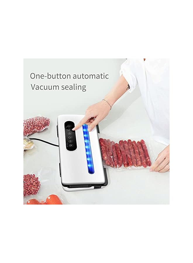 Sealer Machine, Multipurpose Automatic Vacuum Sealing Machine With 10 Free Sealing Bags, Dry & Moist Modes, Easy To Clean, For Meat Or Wet Food In Home Kitchen