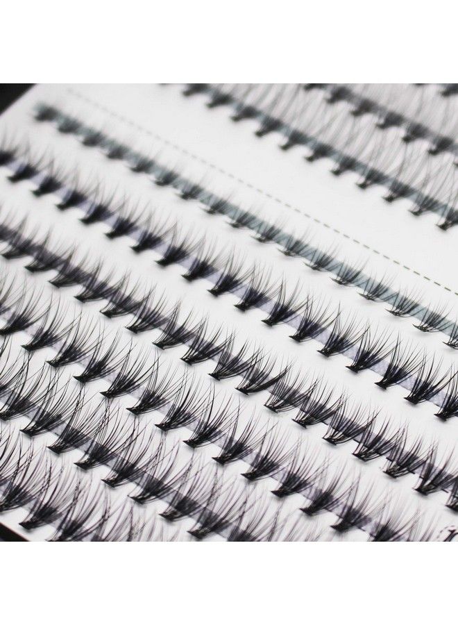 10D /20D Mixed 0.07Mm /0.10 Mm Mixed 812Mm1014Mm1216Mm1418Mm1620Mm And Under Eyelashes Mixed C Curl Natural False Eyelash Extension Soft Lashes Individual Eyelashes (812Mm Mixed)