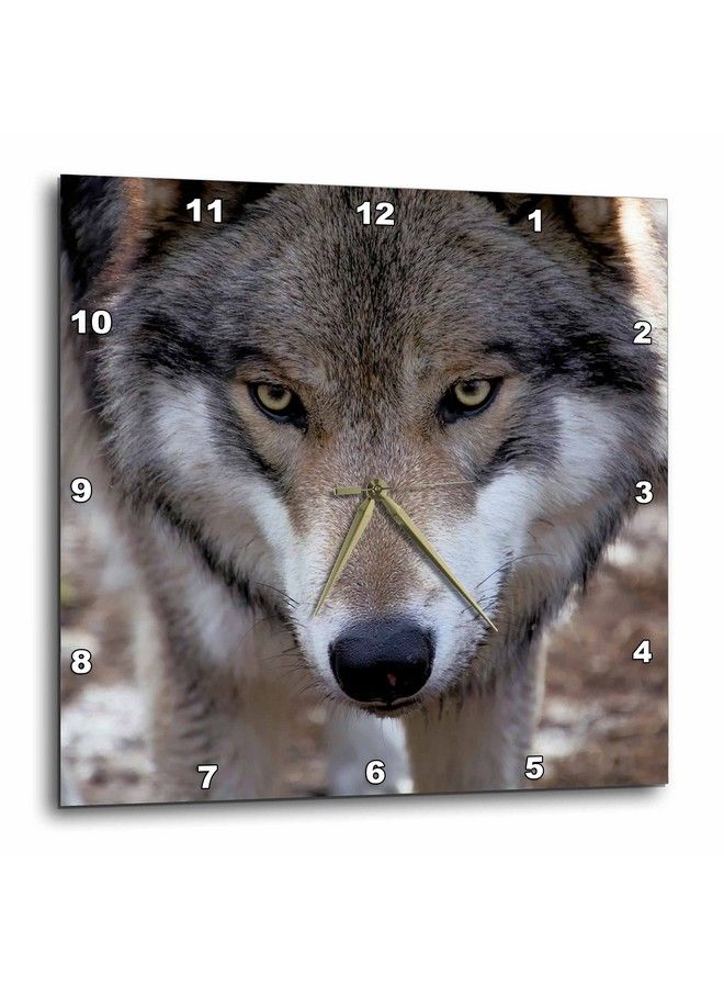 New Jersey Columbia Lakota Preserve Timber Wolf Wall Clock 15