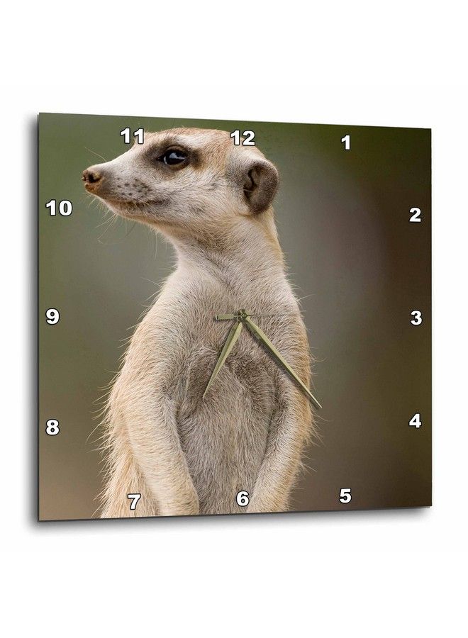 Dpp_73457_2 Namibia Keetmanshoop Meerkat Burrow Mongooseaf31 Pso0140Paul Souderswall Clock 13 By 13Inch
