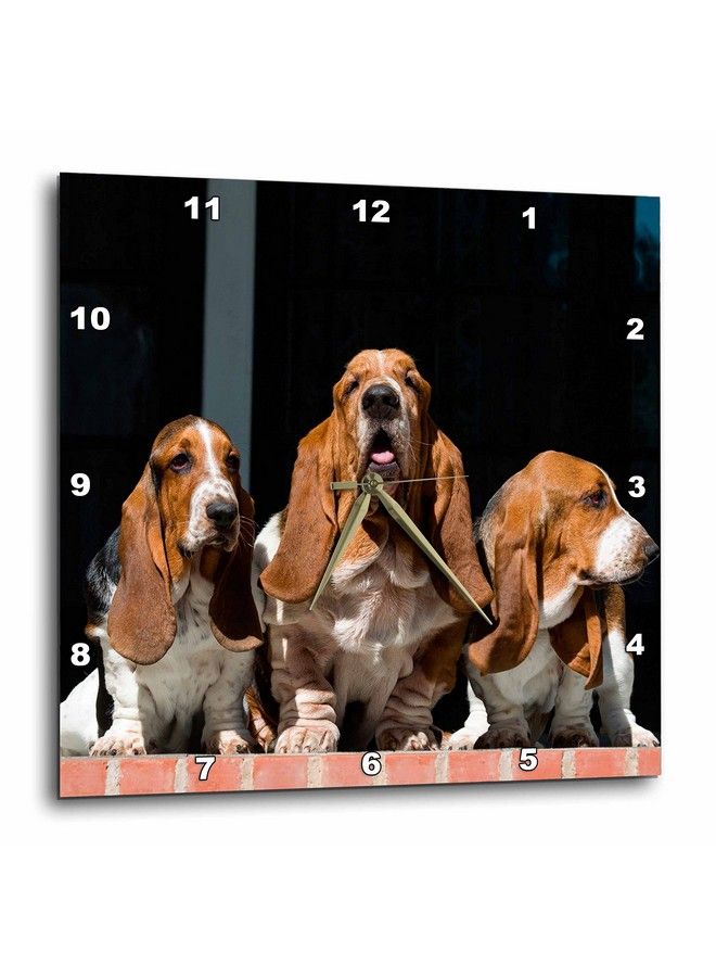 Trio Of Basset Hounds Mr Wall Clock 13X13
