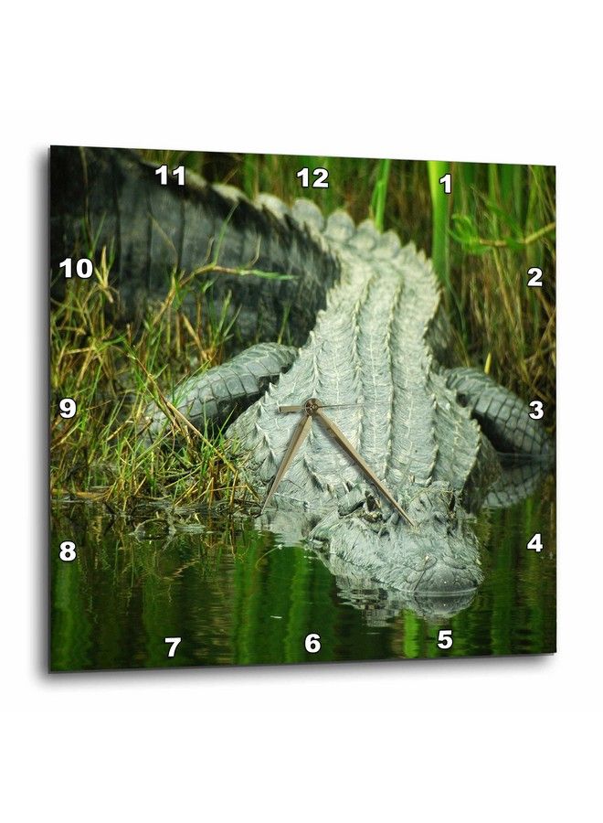 Dpp_62370_2 Grow Them Big Here In Florida An Alligator Wall Clock 13 By 13Inch