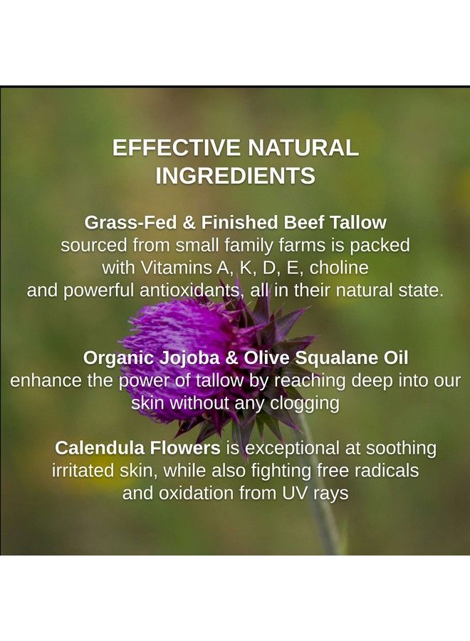 Tallow & Squalane Noncomedogenic Face Balm Paleo & Primal Tallow Moisturizer 100% Grassfed Tallow Squalane & Calendula Flowers Rich In Vitamin A K D & E Creates Soft Smooth Skin 4 Oz (Unscented 4 Oz)