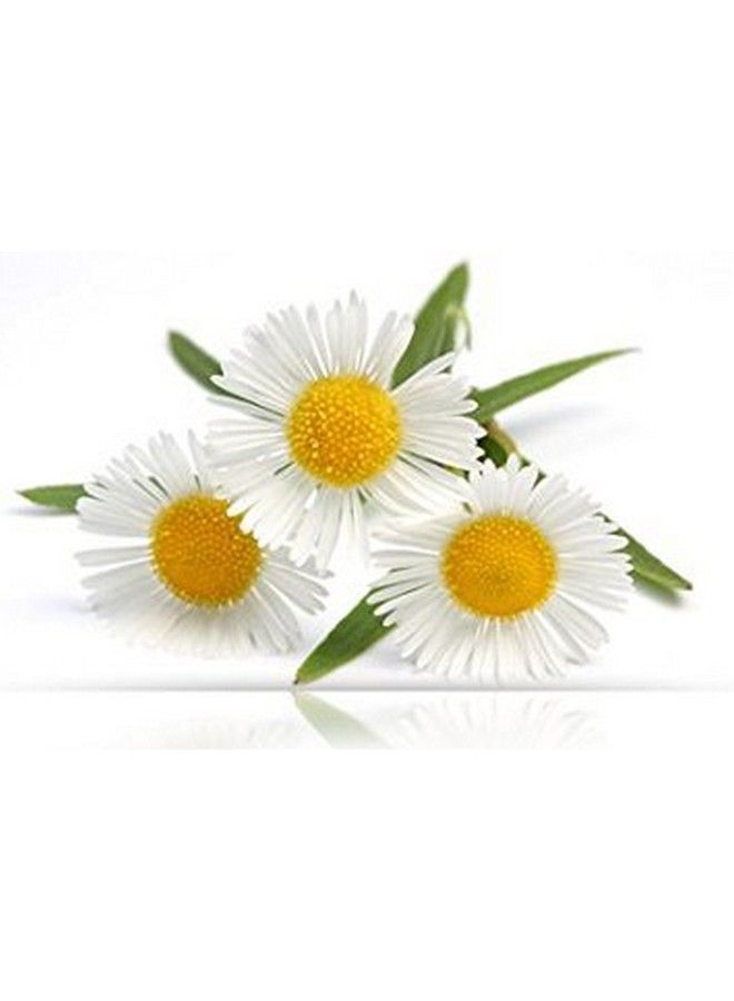 Hair Shampoo Camomile Frequent Use 300 Ml / Natural & Organic