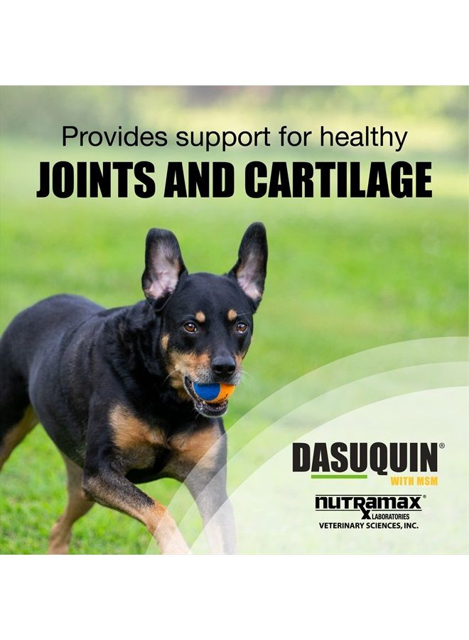 Nutramax Dasuquin with MSM Joint Health Supplement for Large Dogs - With Glucosamine, MSM, Chondroitin, ASU, Boswellia Serrata Extract, and Green Tea Extract, 150 Soft Chews