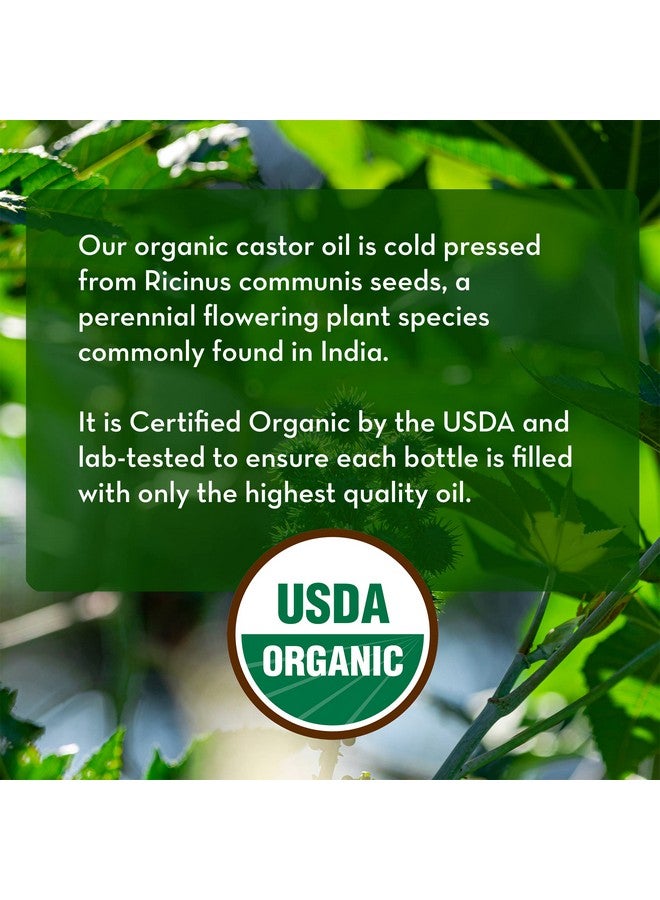 Castor Oil For Eyelashes And Eyebrows Brow And Lash Growth Serum Organic Hexane Free Cold Pressed Unrefined 1 Fl Oz Pure Body Naturals