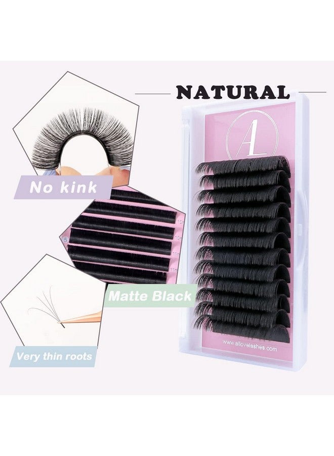 Eyelash Extension Super Easy Fan Volume Lash Extensions 0.05Mm D Curl 8 15Mm Mixed Tray Rapid Blooming Volume Lashes Self Fanning Lash Extension Supplies