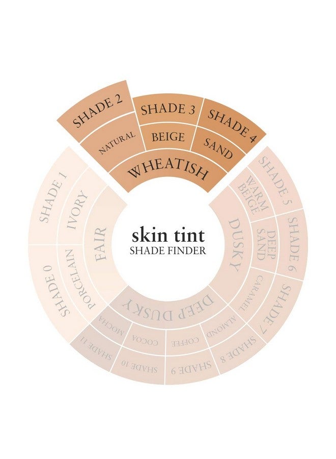 Natural Skin Tint Foundation Bb Cream With Brahmi For Medium Coverage Noncakey & Lightweight Shade 2 Natural1.35 Fl Oz