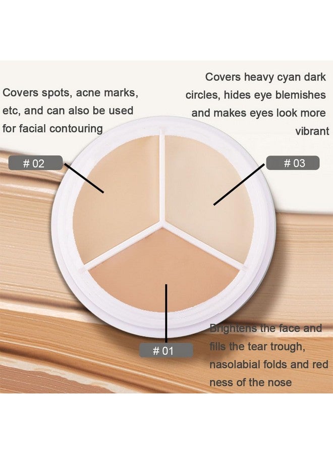 2Pcs Tri Color Face Conceal Correct Cream Contour Makeup Palette For Mature Light Medium Skin Color Correcting Conceal Trouble Spots Dullness Under Eye Dark Circles Discolorations Covers Redness